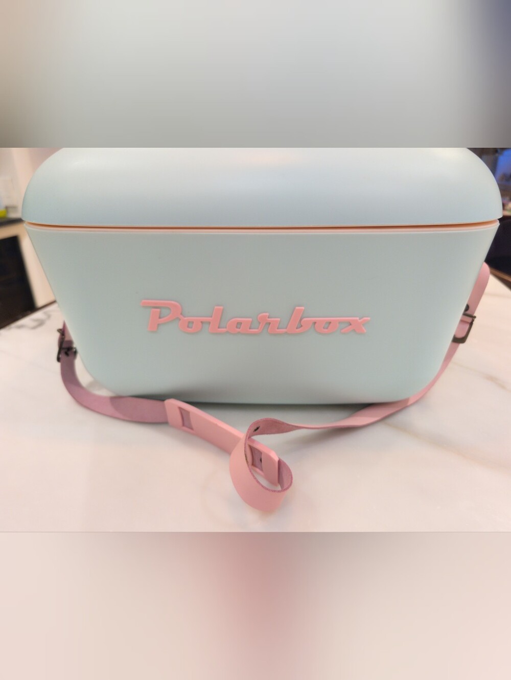 Polarbox Cooler Mint and Pink Crossbody Bag by
